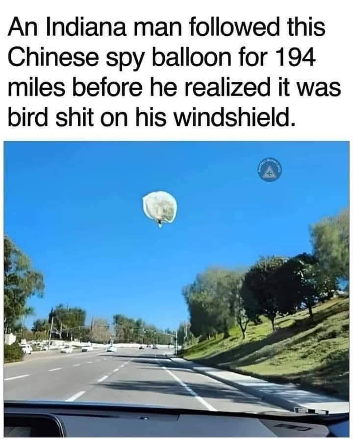 bird poop.jpg