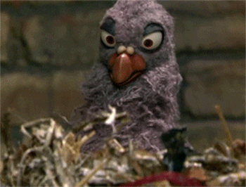 bird01.gif