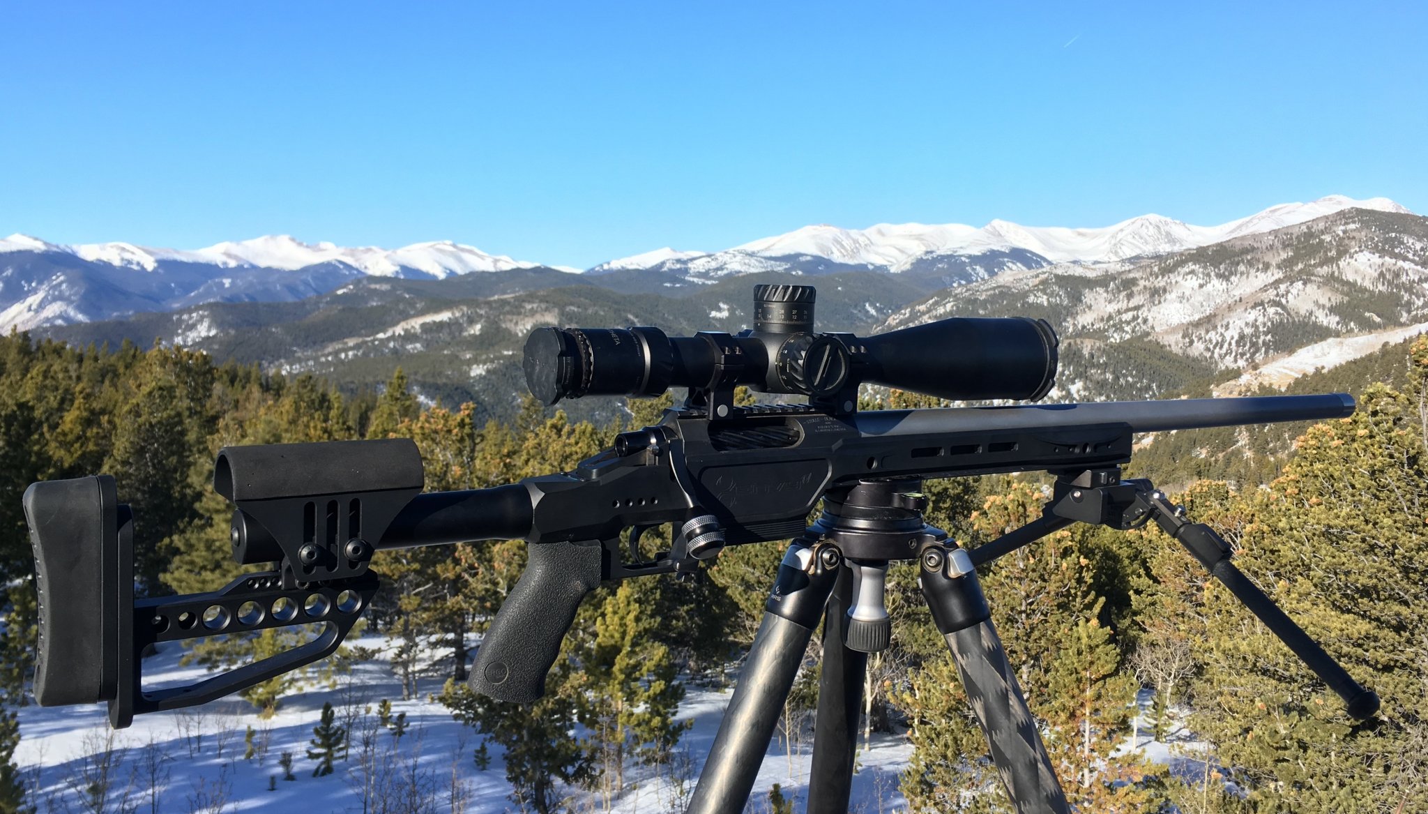 Black Bear 6BRA.JPG