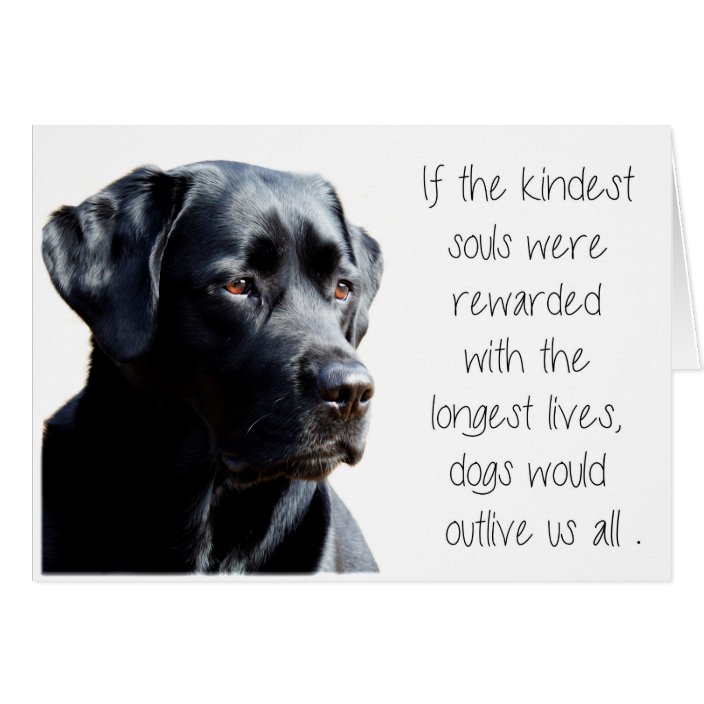 black_lab_sympathy_card_dog_sympathy_pet_loss-r9c7434a3ab084d29abf0fc2bfb189474_xvuak_8byvr_704.jpg