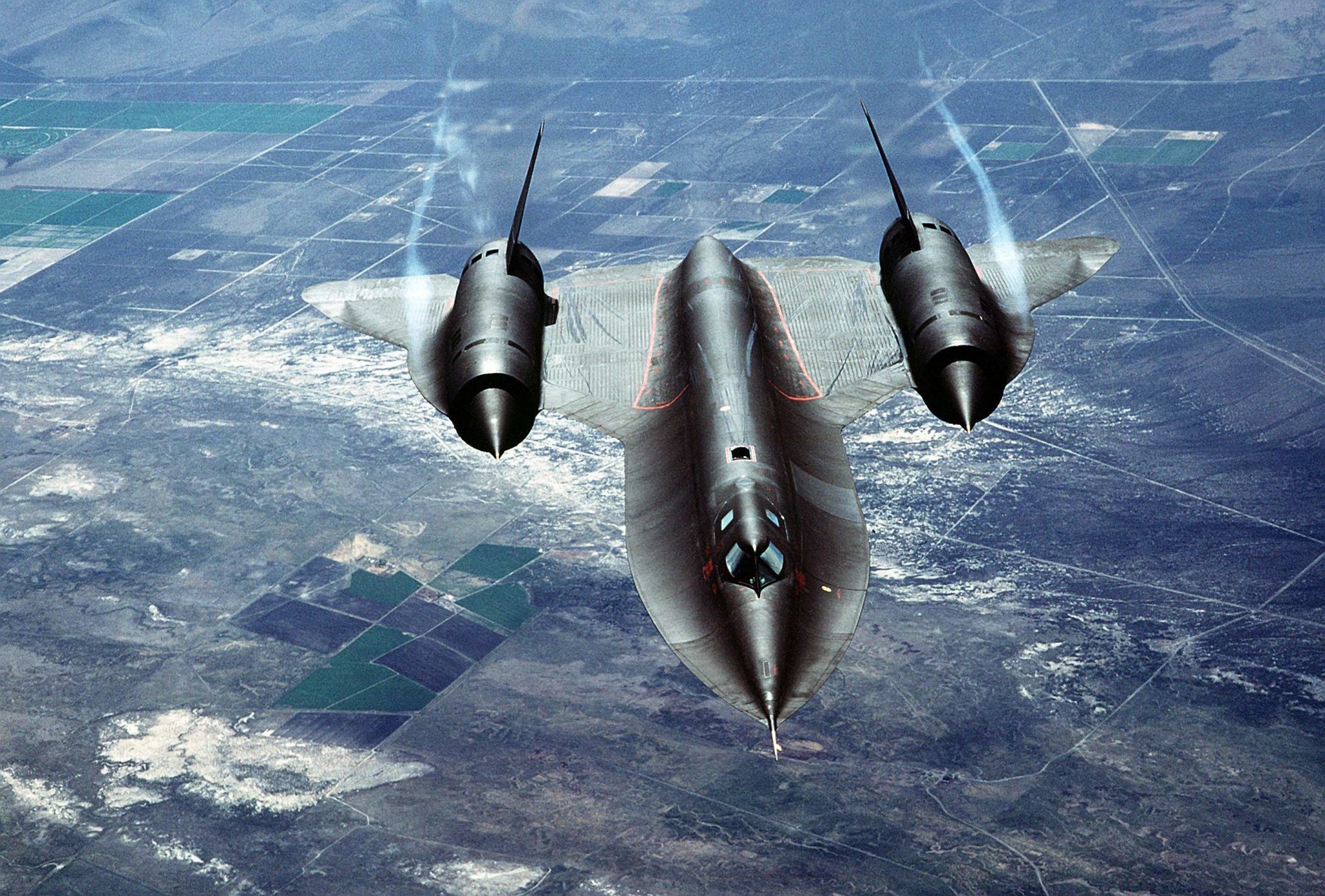 blackbird.jpg