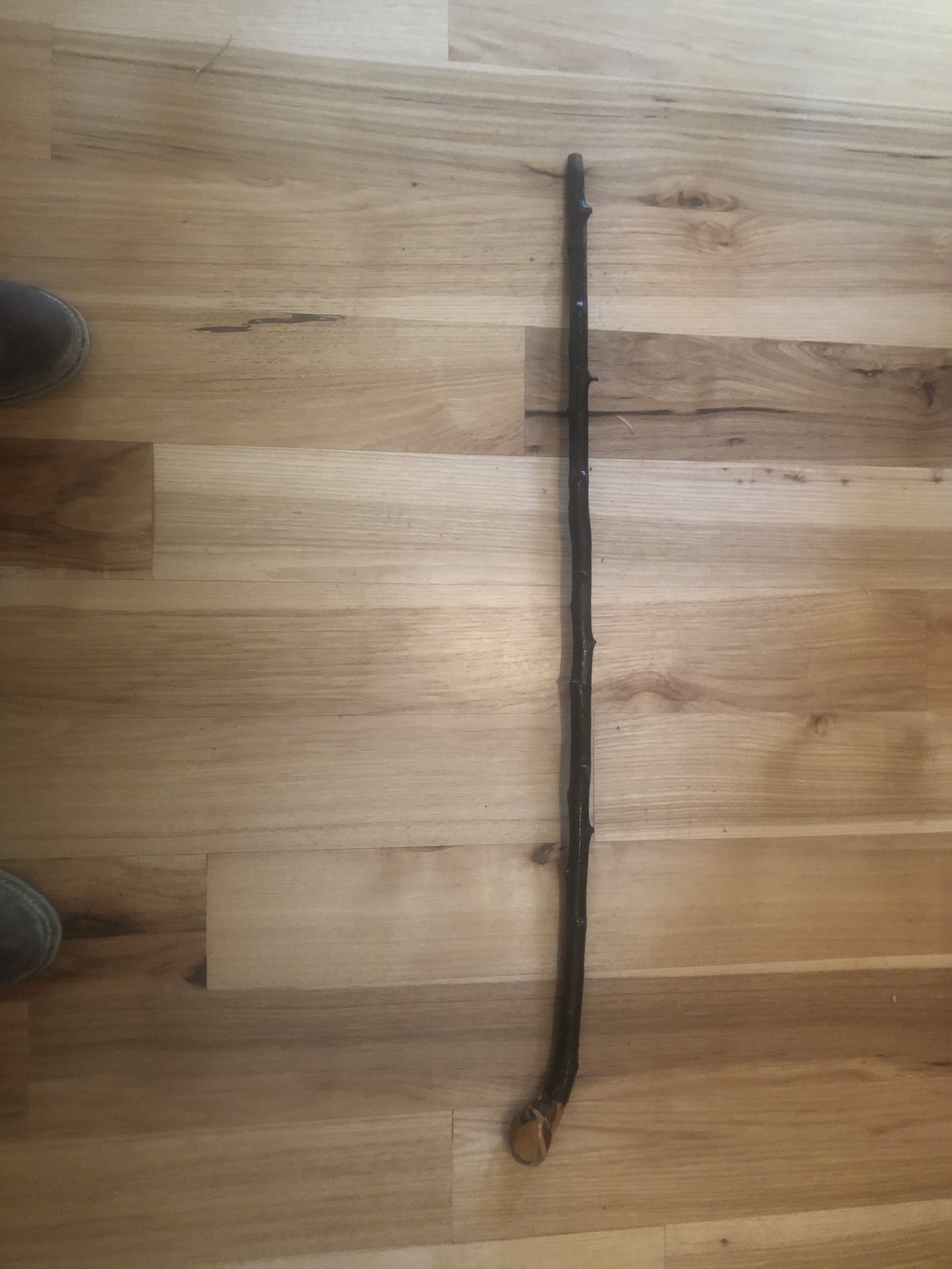 Blackthrorn Walking Stick.JPG