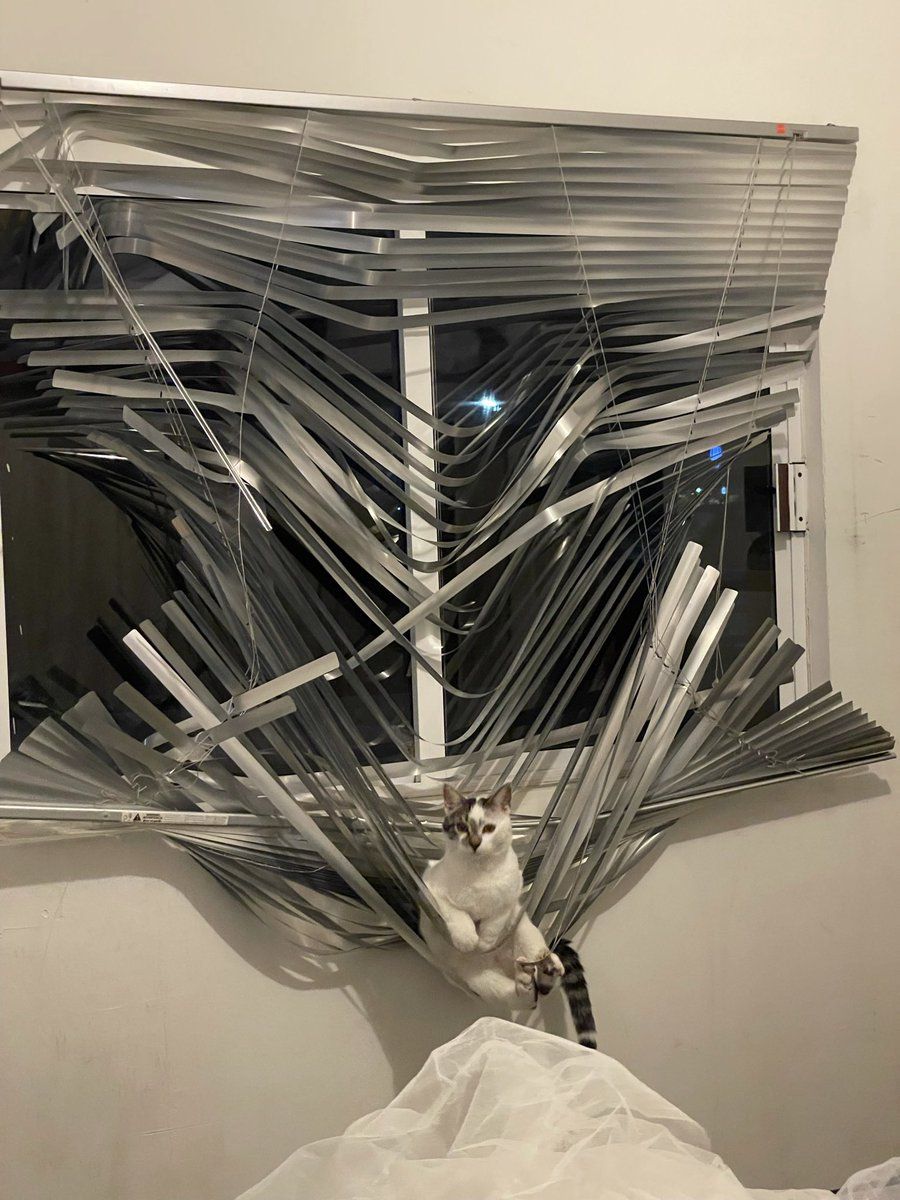 blinds.jpg