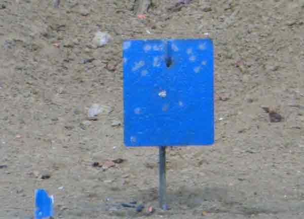 BluePlate.jpg