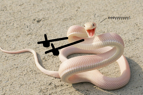 bnuTU3V.png