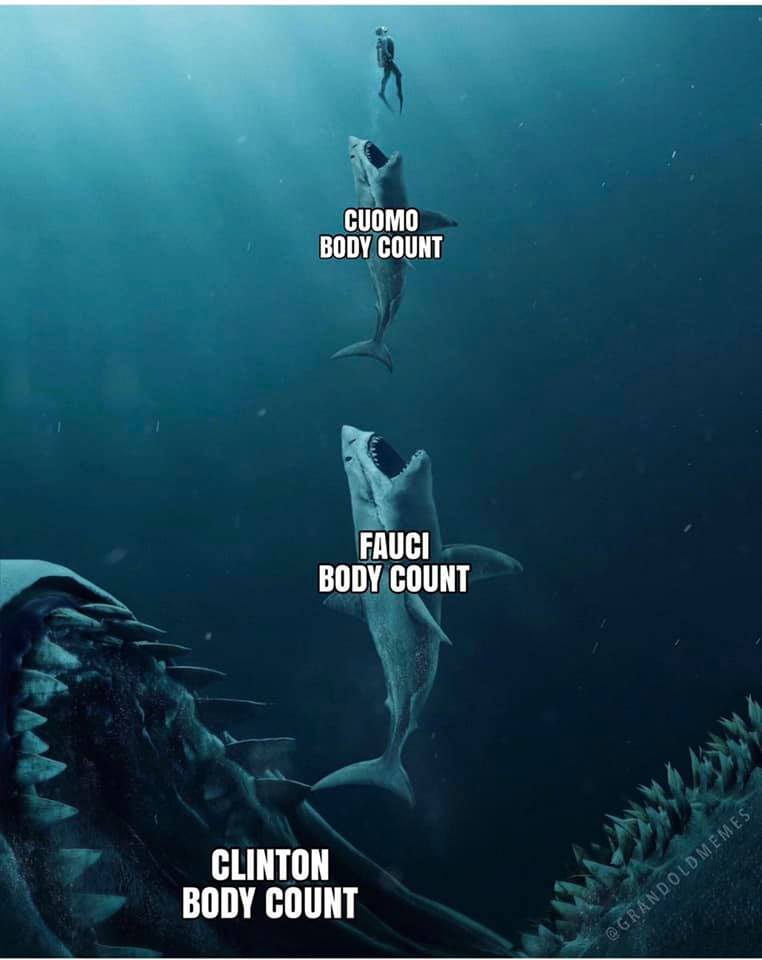 Body.jpeg