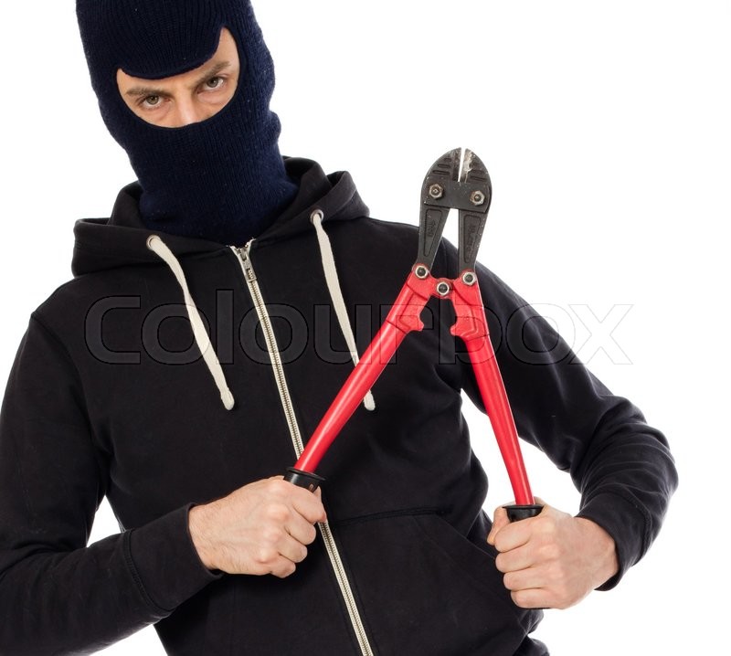 bolt cutter.jpg