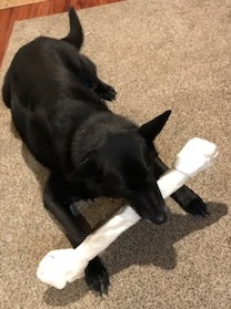 bone3.jpeg