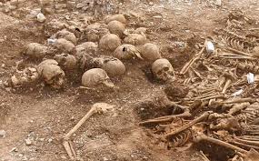 bones.jpg