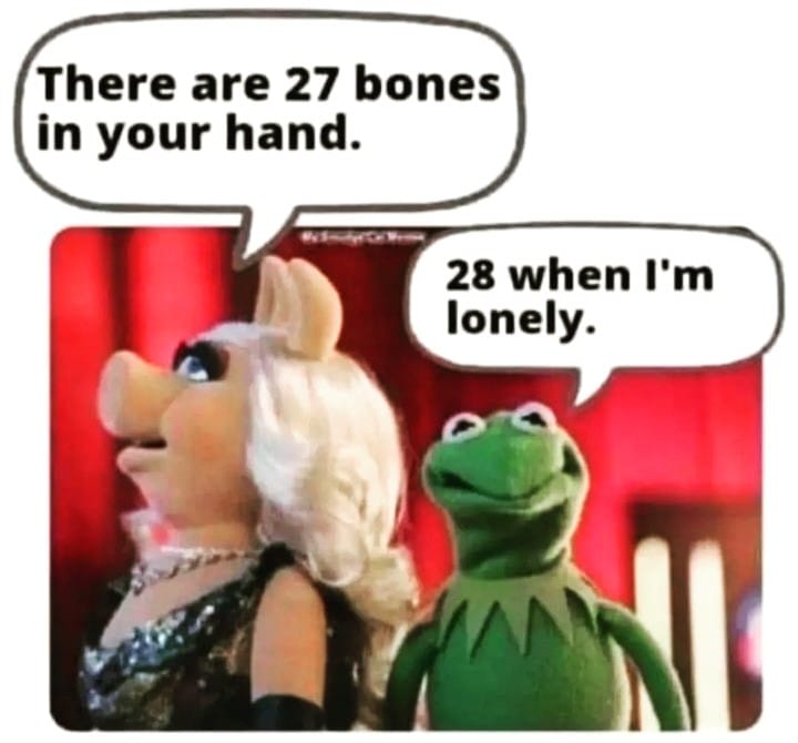 bones.jpg