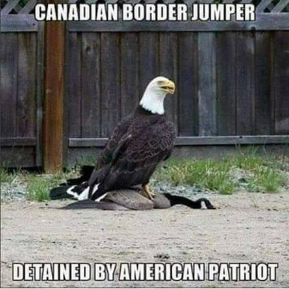 border.jpg