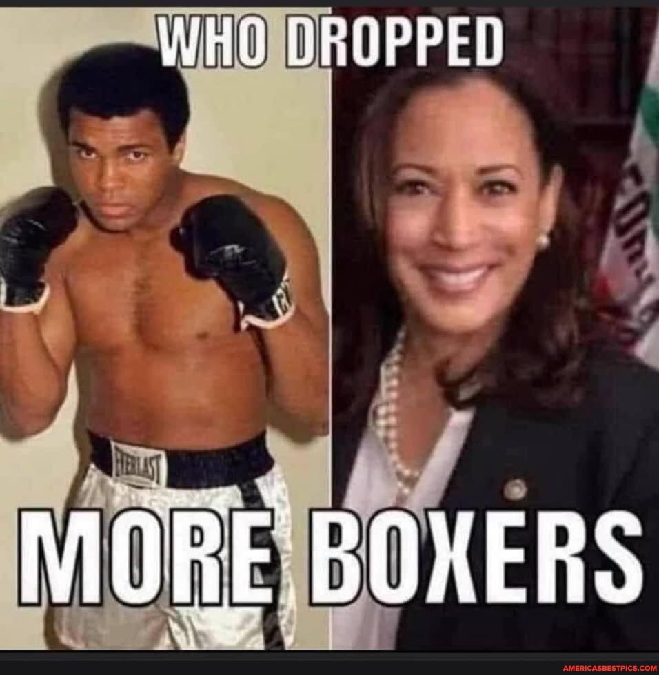 boxers.jpg