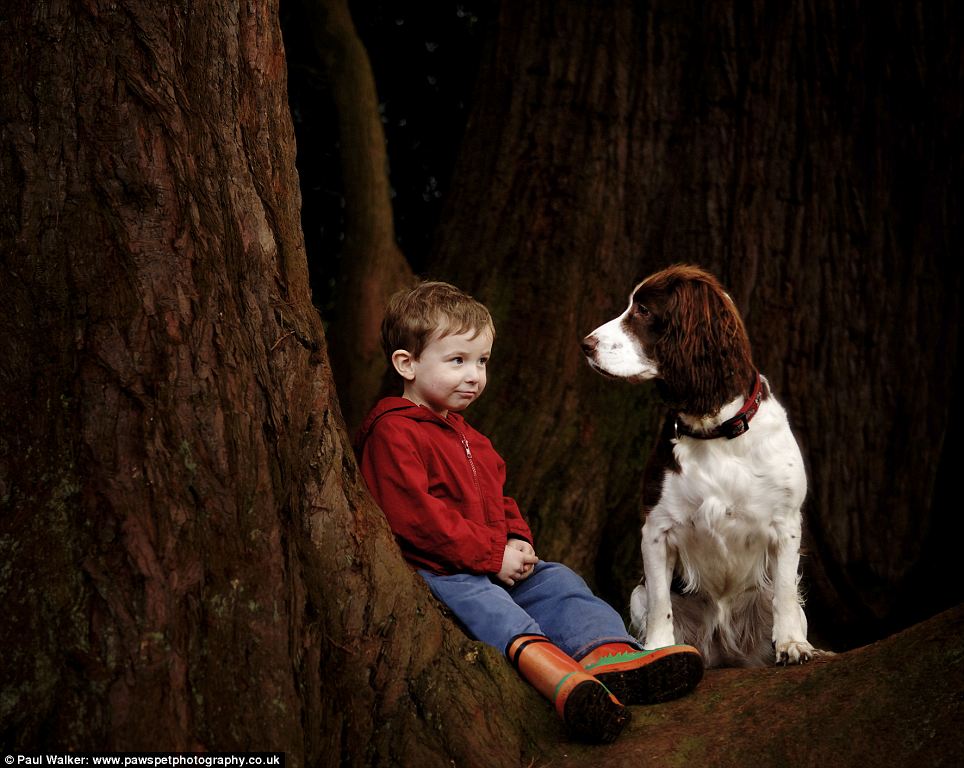 boy dog.jpeg