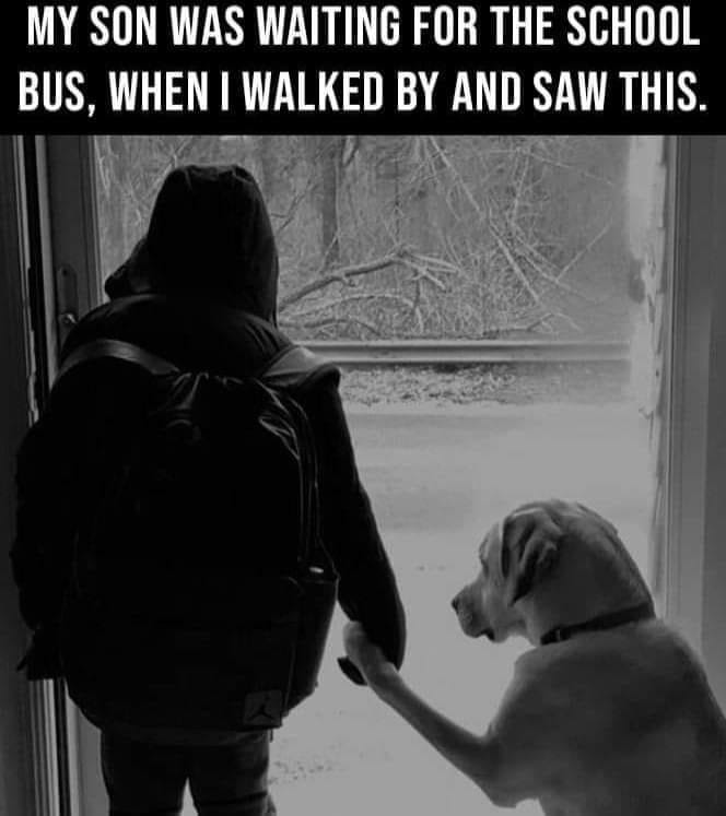 boy dog.jpg