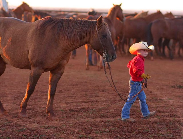 boy horse.jpg