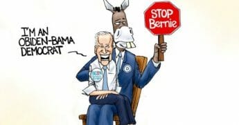 Branco-Sockpuppet-345x181.jpg