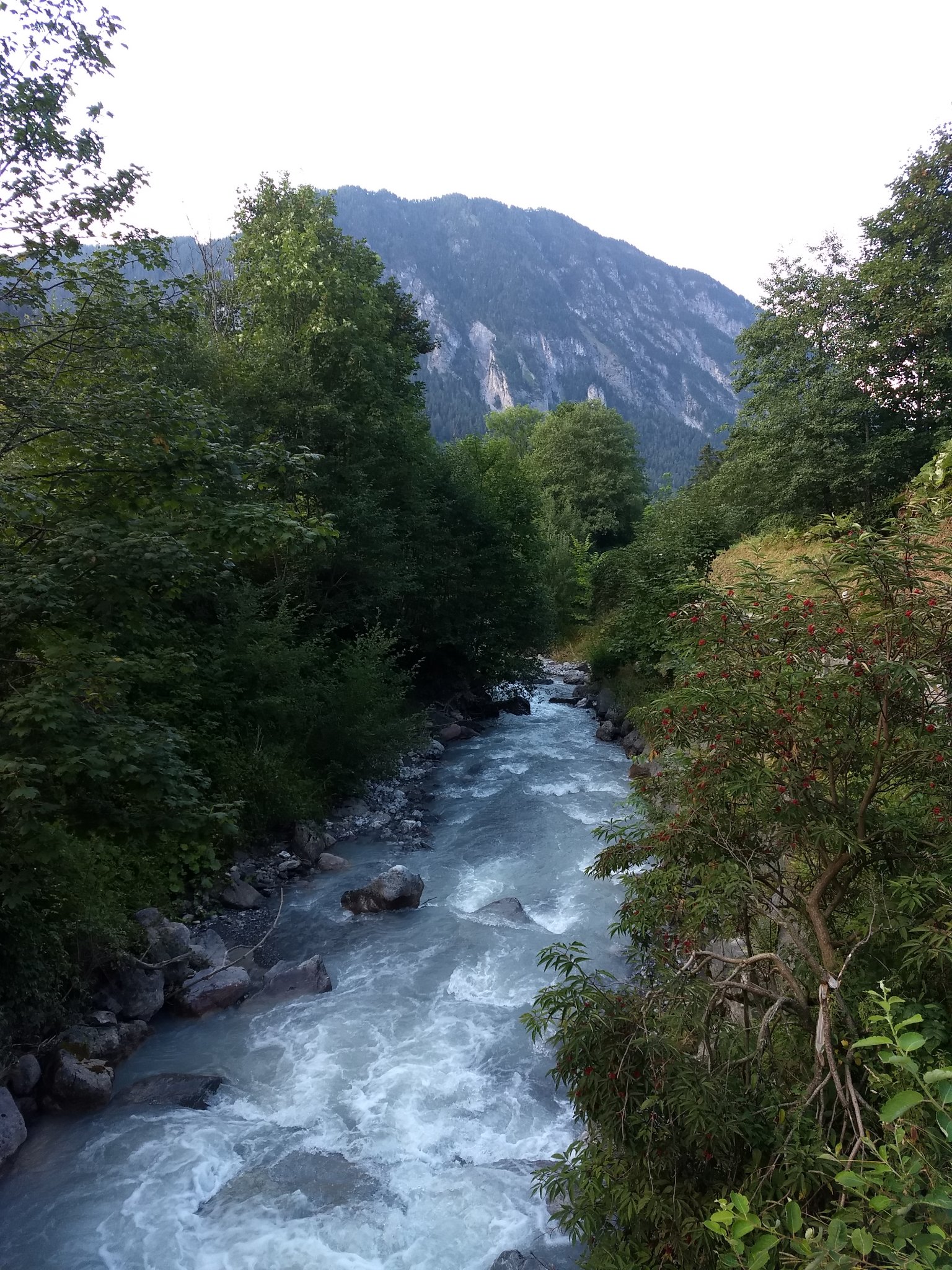 Brandt Tyrol Austria.jpg