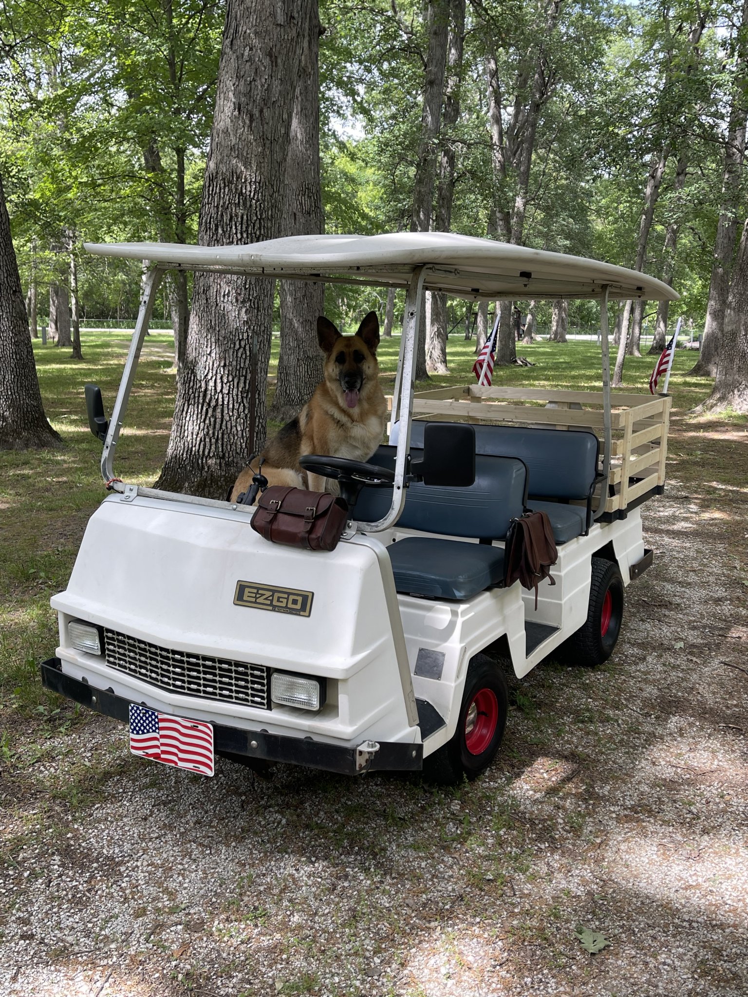 Brandy is my copilot.JPG