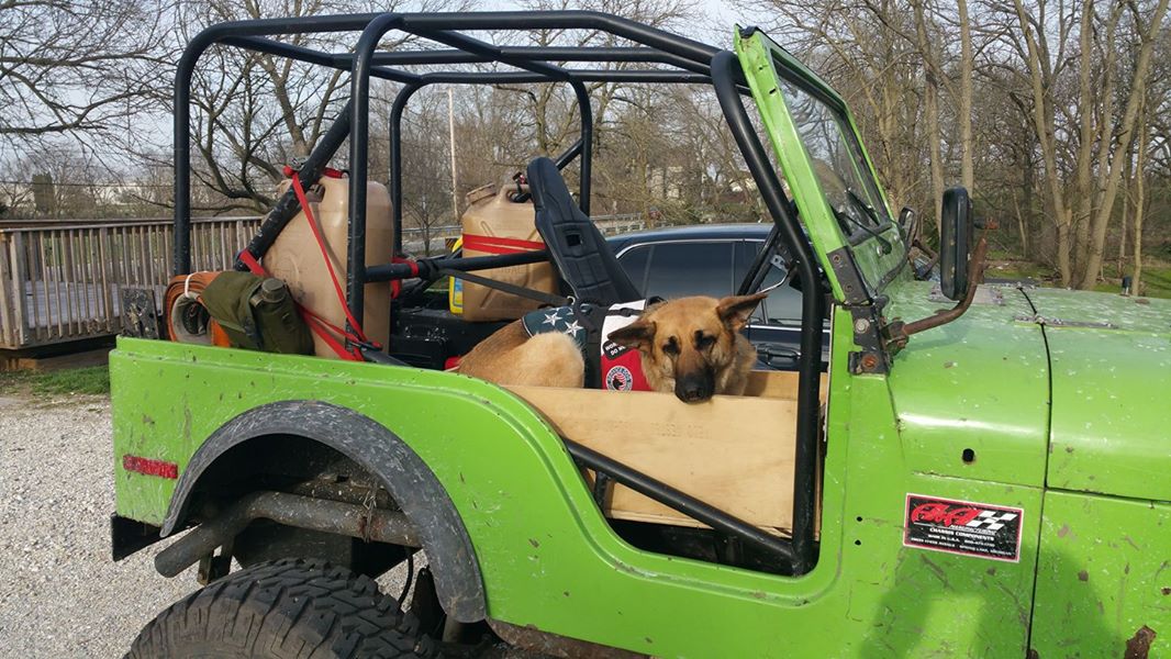 Brandy's front seat dog bed.jpg