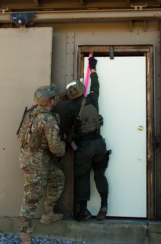 breaching.jpg