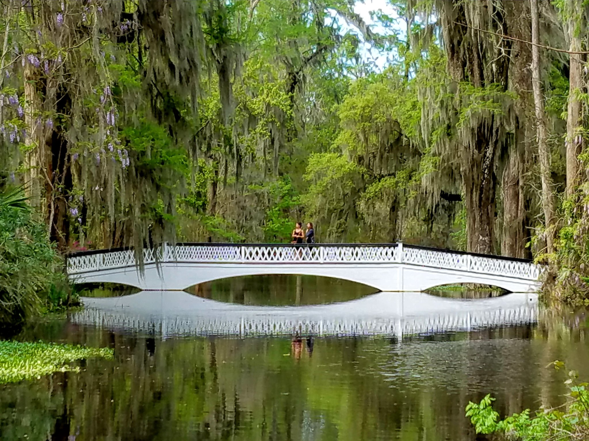 Bridge.jpg