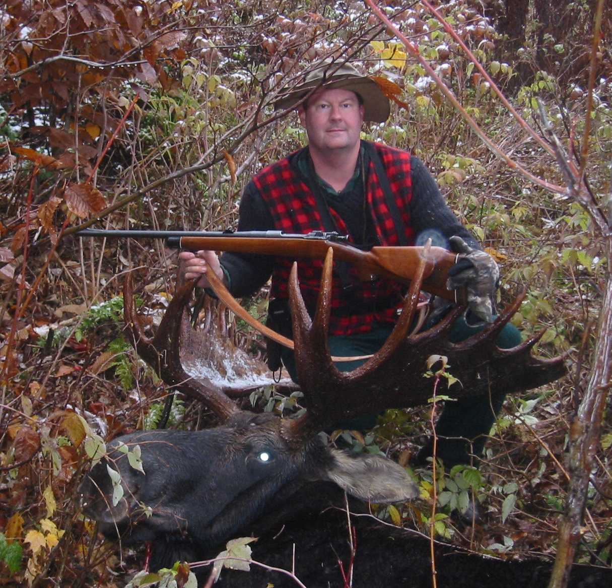 brpiercemoose.jpg