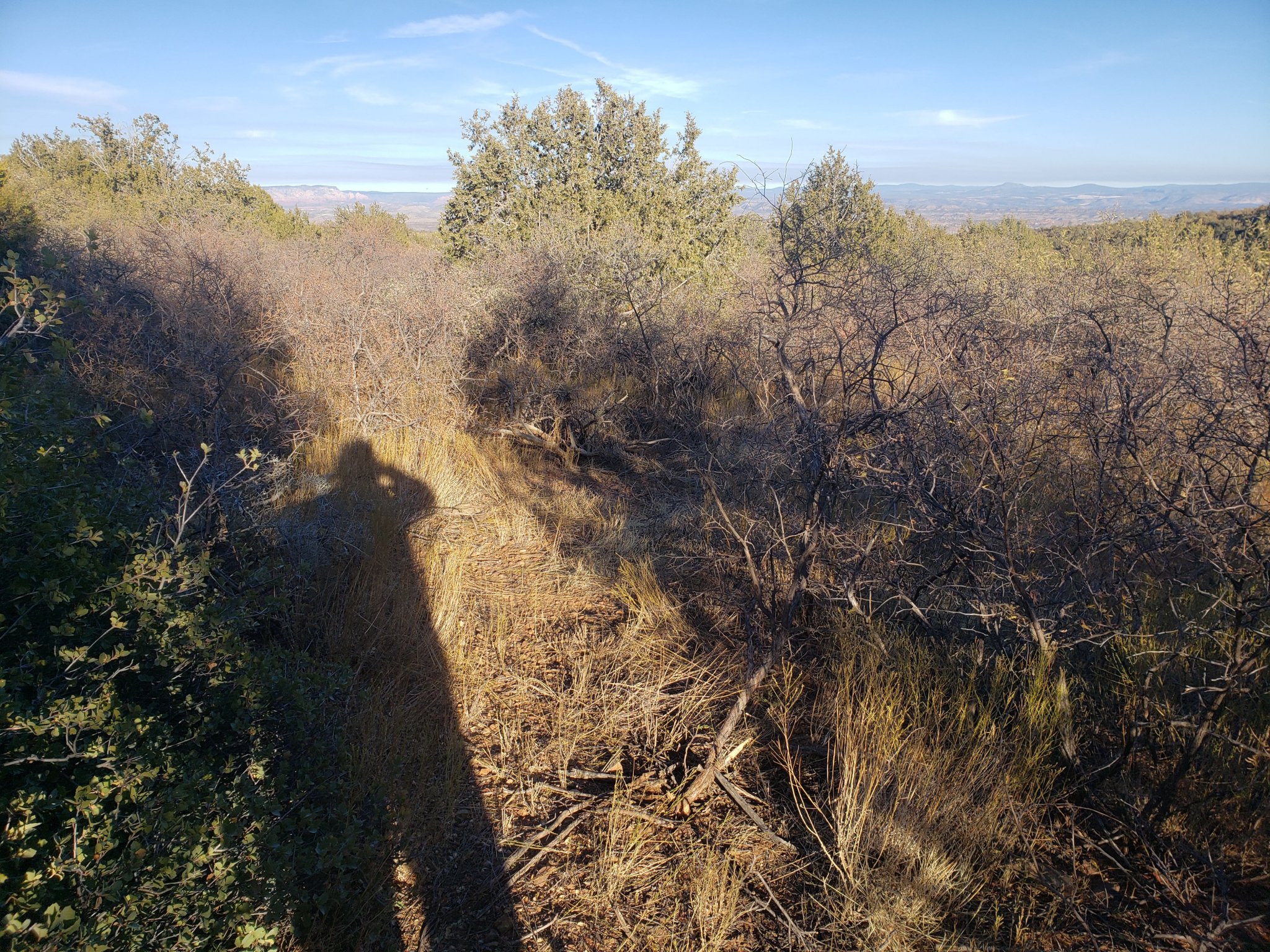 Brushing Fire Breaks 2020.jpg
