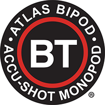 BT-small-3.png