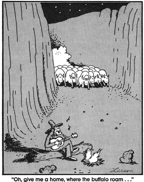 buffalo 2.jpg