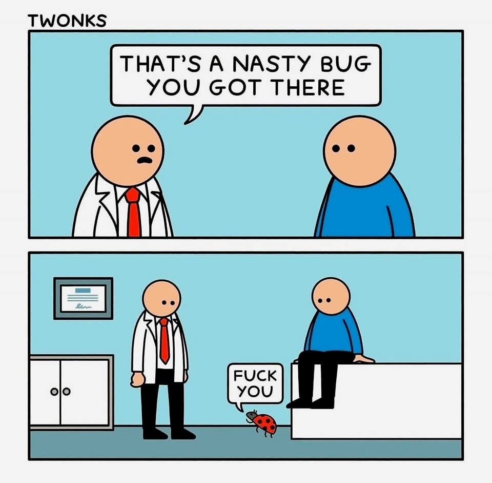 bug.jpg