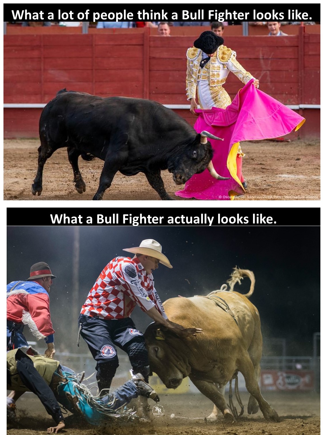 Bull Fighters.jpg