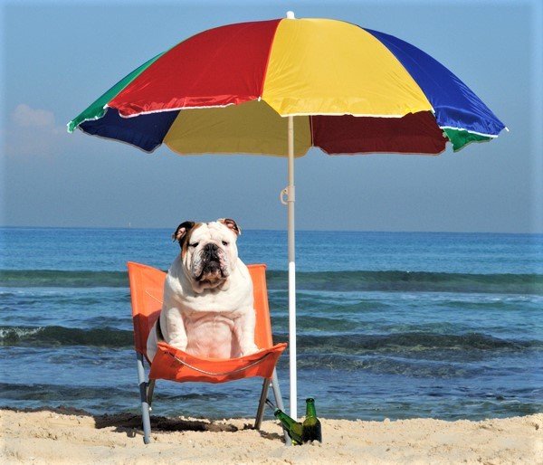 bulldog beach.jpg