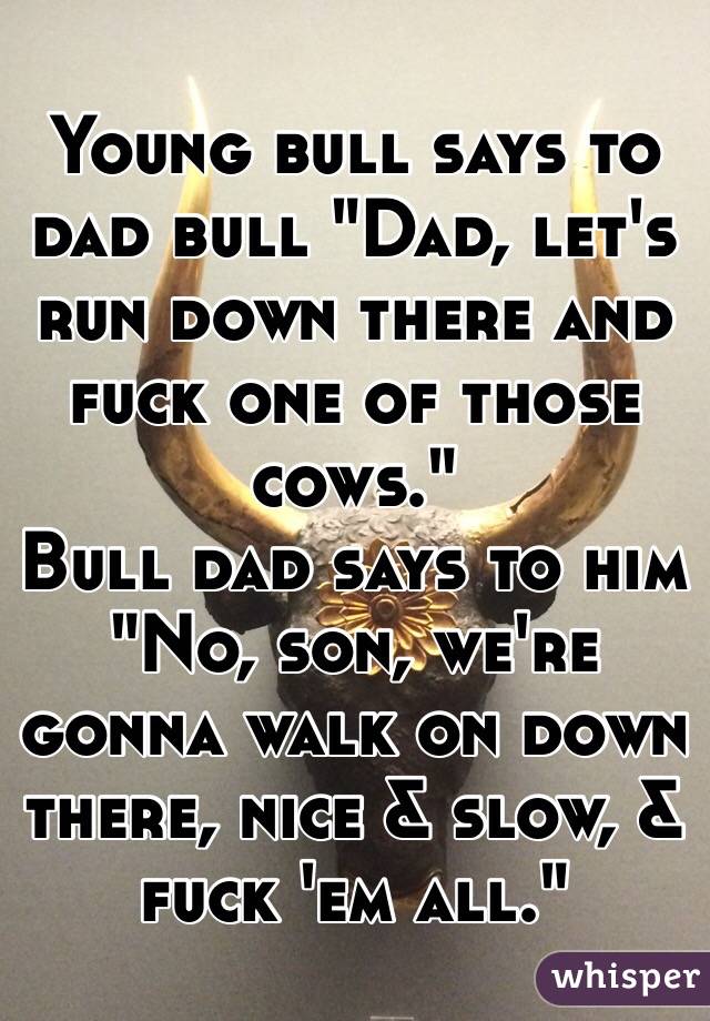 bulls.jpg