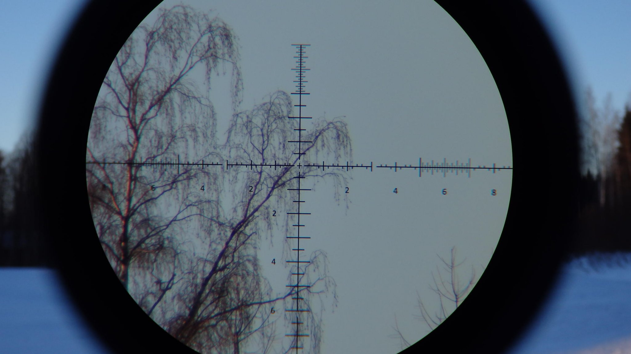 bur2.jpg