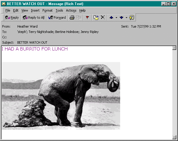 burrito.gif