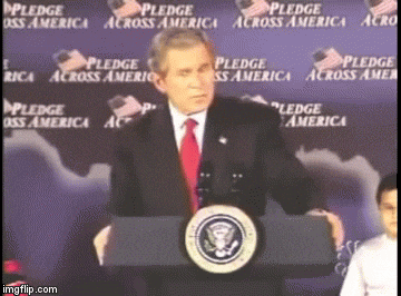 bush.gif