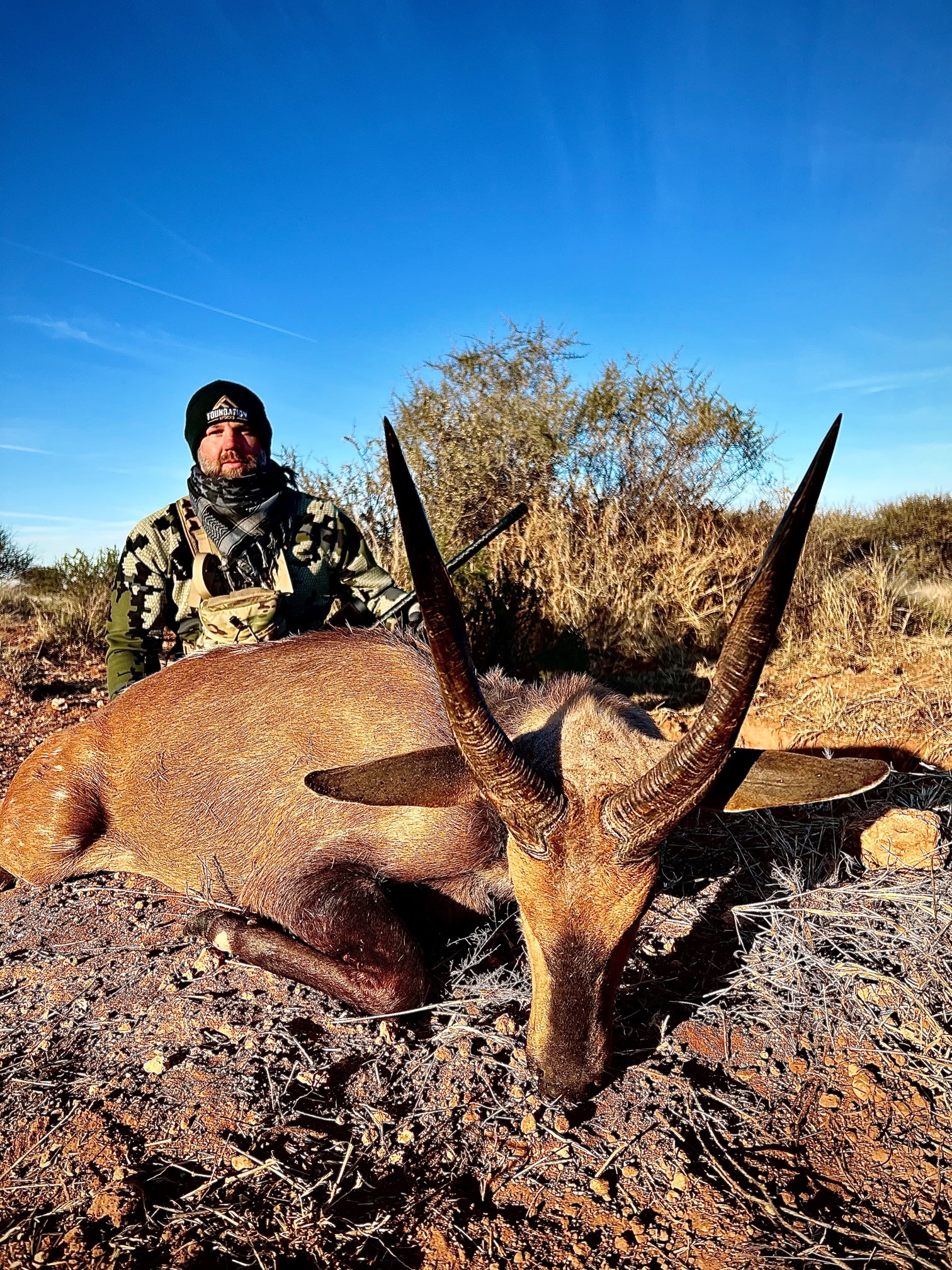 BUSHBUCK.jpg