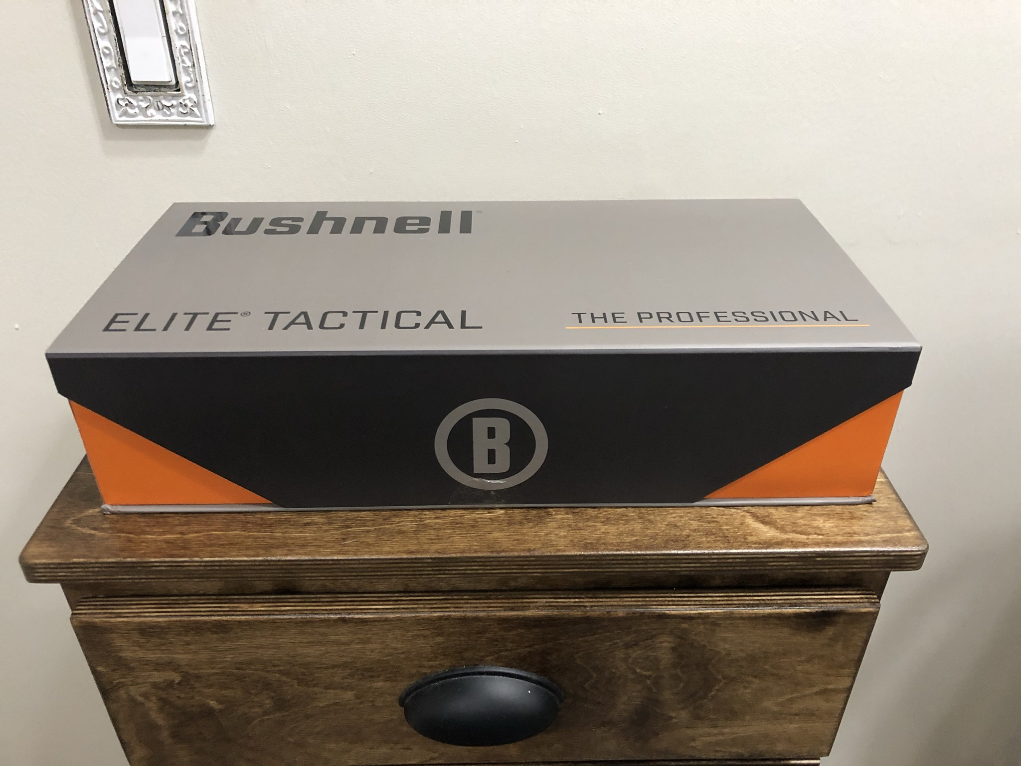 Bushnell 1.jpg
