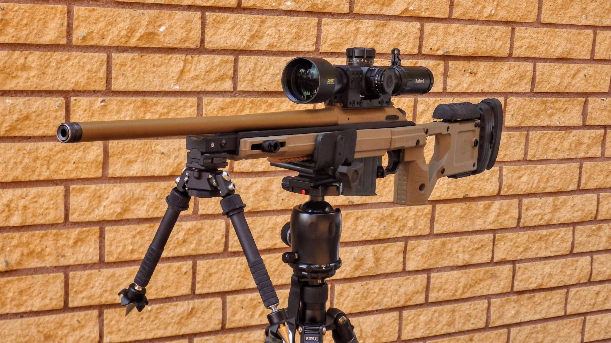 bushnell.jpg