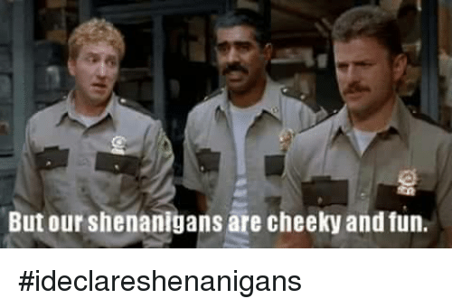 but-our-shenanigans-are-cheeky-and-fun-ideclareshenanigans-4062382.png
