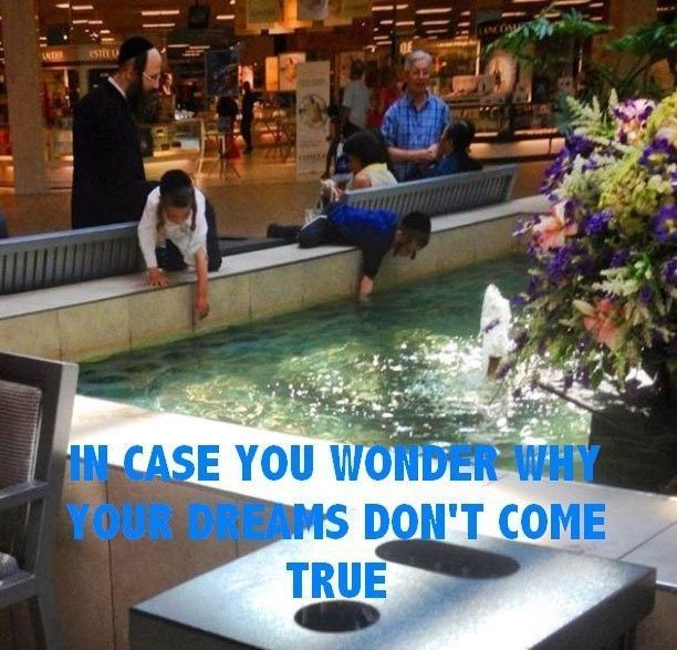 C04B3F43-1BA6-45FA-B1A8-80BCC740EB69.jpeg