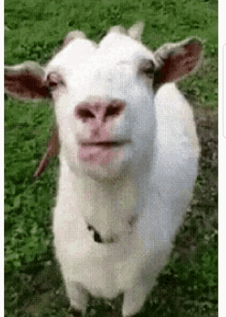 C08C6728-14C3-432A-A025-72899417882C.gif