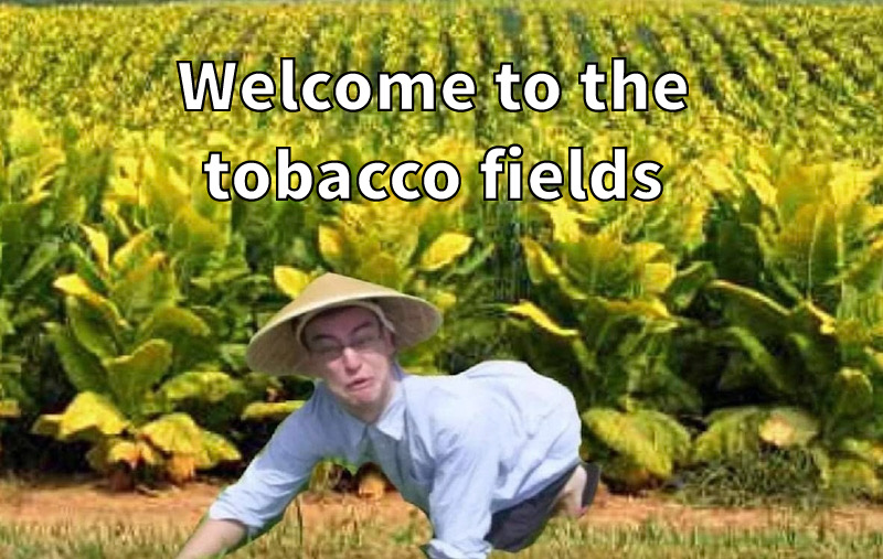 C0D1408F-7C7A-4A90-A36A-6ACC10303B5E.jpeg