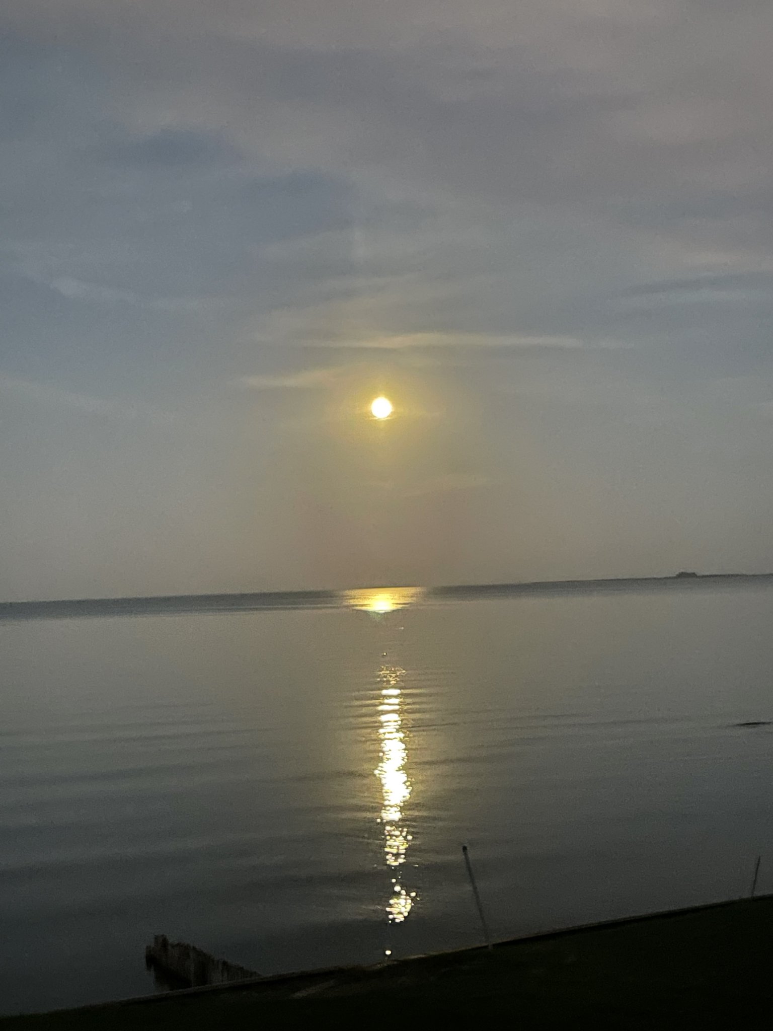 C1334A69-5C74-4324-A9F1-A1649B3D7C91.jpeg