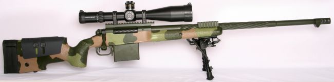 c14-4.jpg