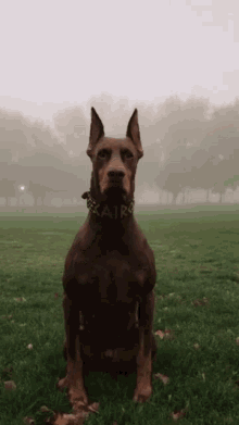 C1604EFA-1BD0-457F-9BB9-2E4FC8FD3CBB.gif