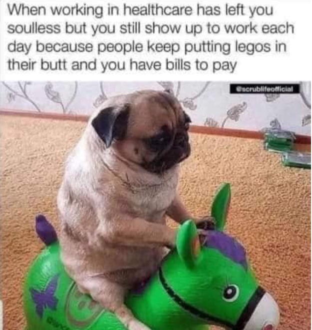 C1B01D58-4614-4332-972B-936BDE6BC8DB.jpeg