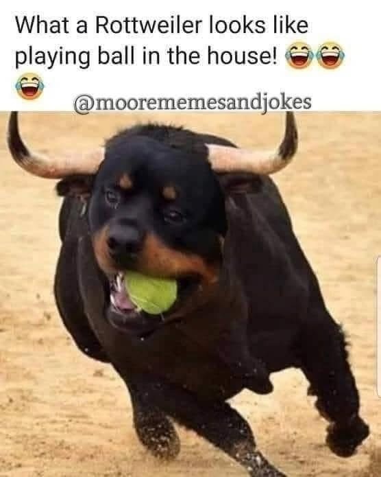 C2383DD7-8B10-4D21-87E9-60BDDCEC7BB7.jpeg