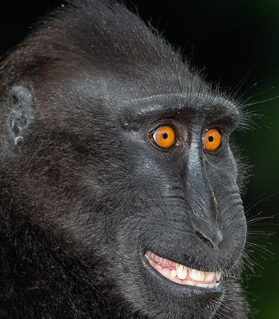 C2E5A1CC-92D8-45F5-83A0-E191D546213B.png
