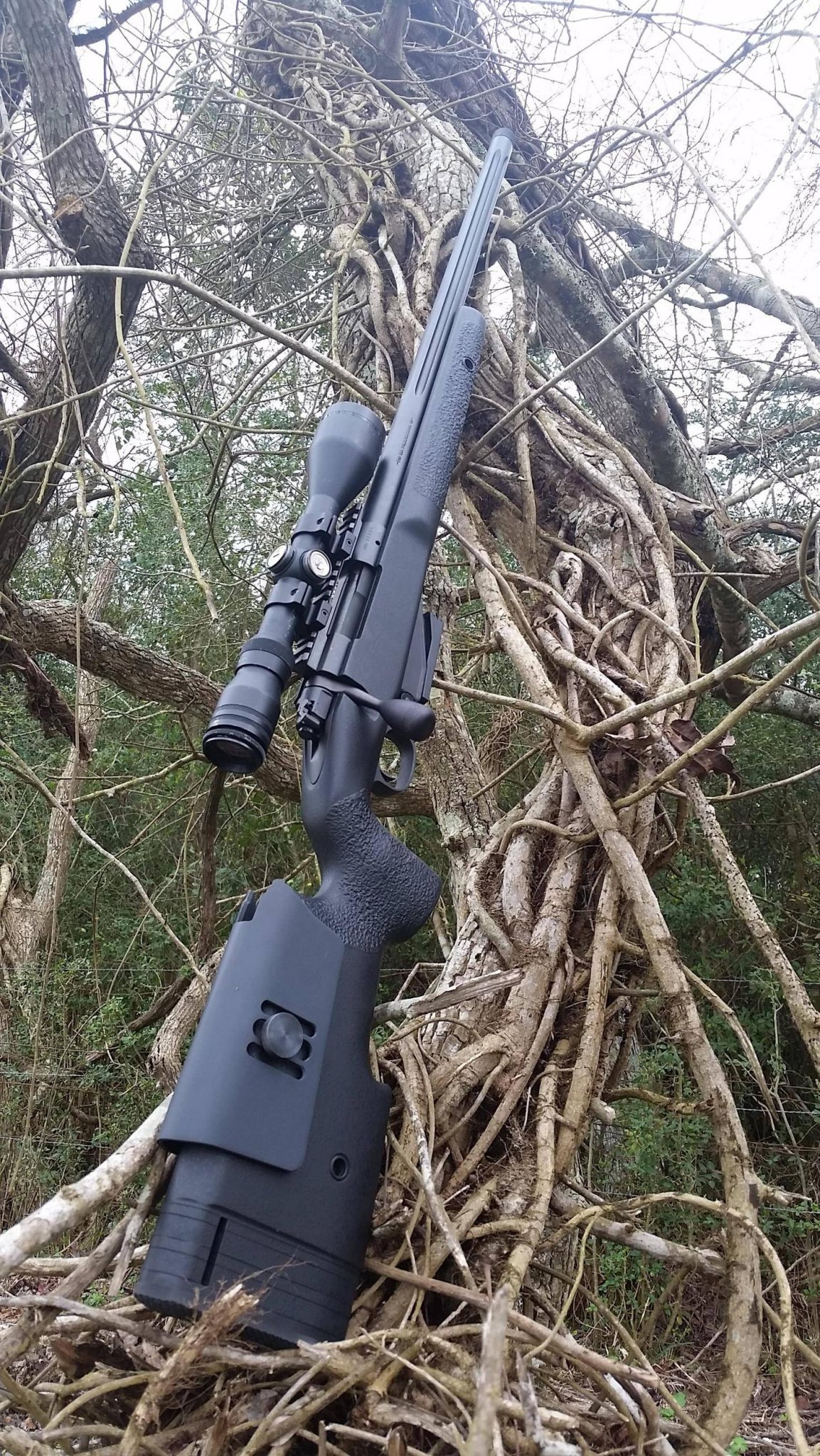 c2V8Vpj.jpeg